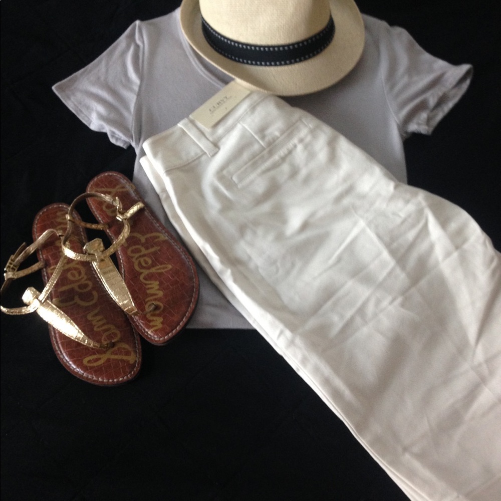 Ann Taylor crops NWT